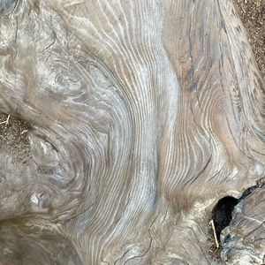 Meet your Posher, Jeff